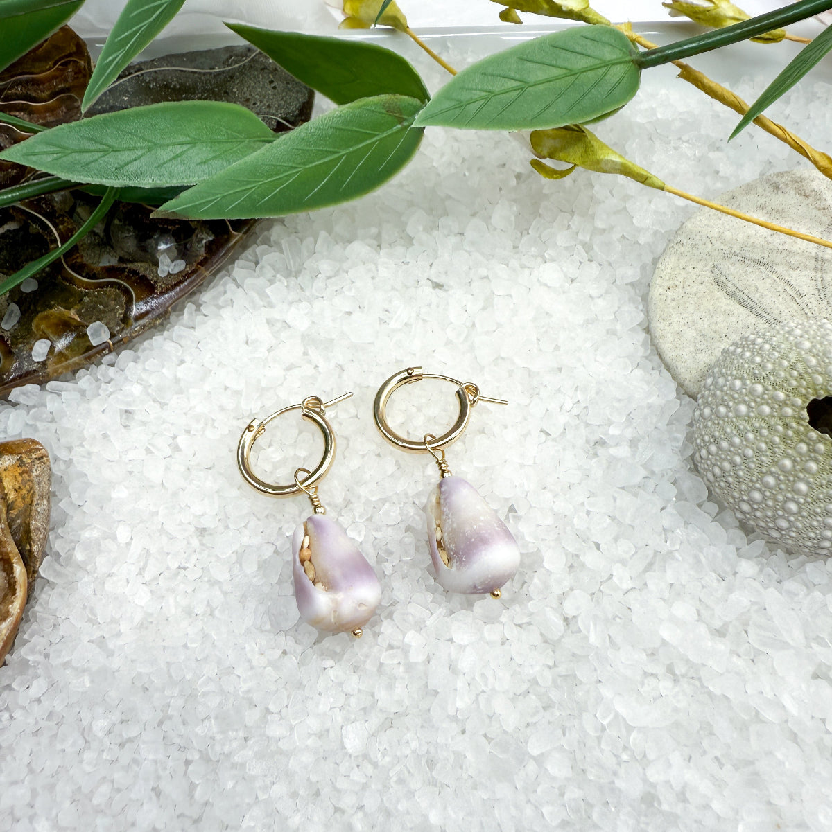 Purple Cone Shell 15mm Hoops
