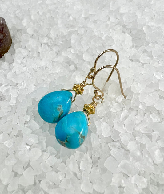 Sleeping Beauty Turquoise Earrings