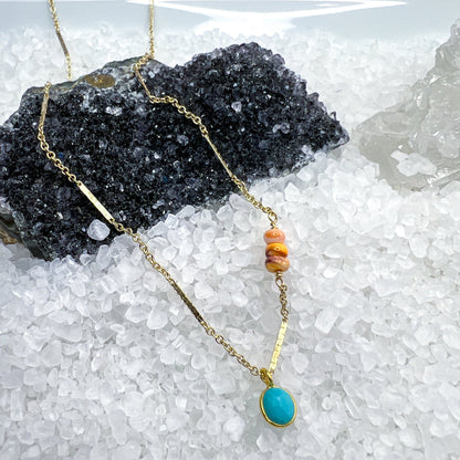 Turquoise & Spiny Oyster Necklace