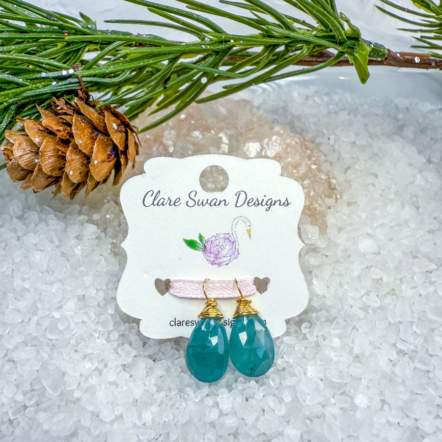 Grandiderite Gemstone Earring Charms