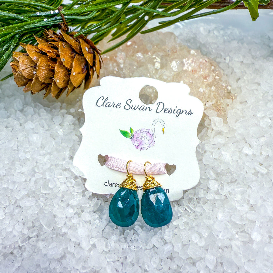 Grandiderite Gemstone Earring Charms