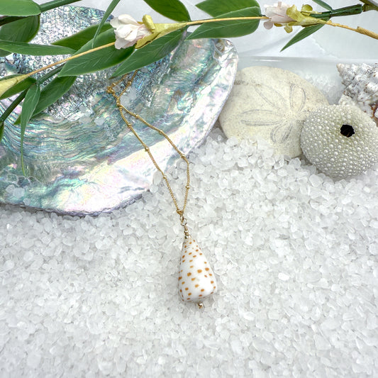 Spotted Cone Shell Necklace
