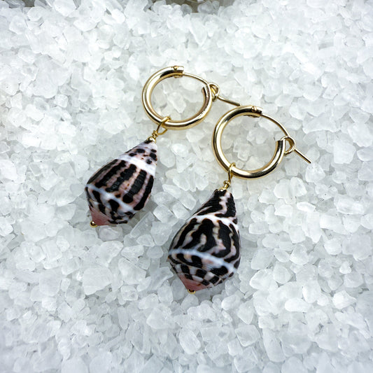 Hoops with Cone Shell Charms