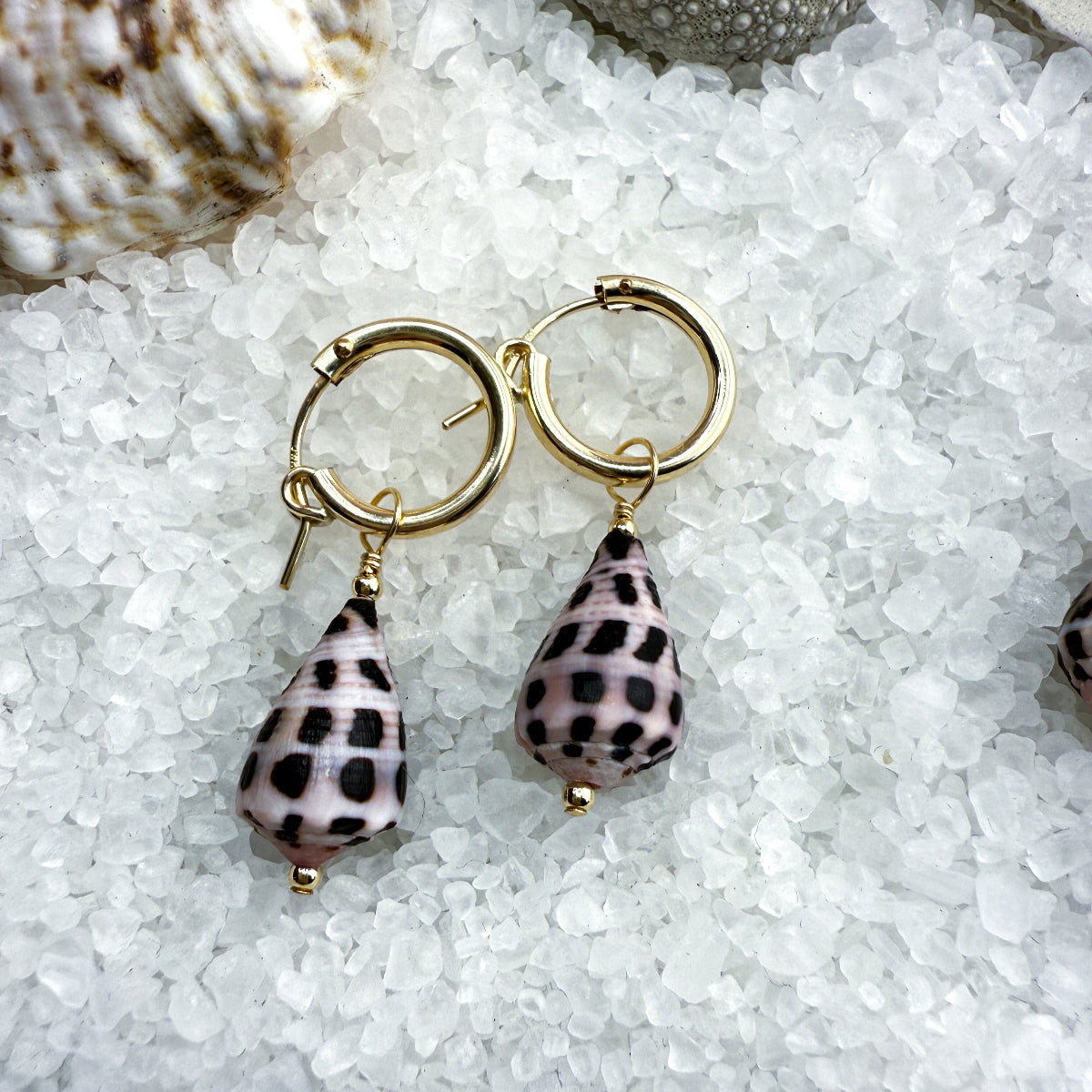 Hebrew Cone Shell Hoops
