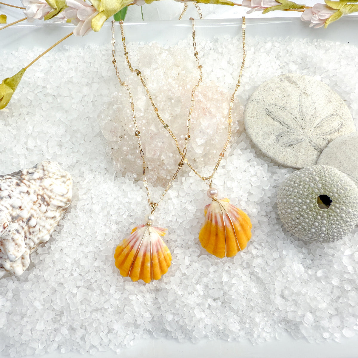 Sunrise Shell Necklace