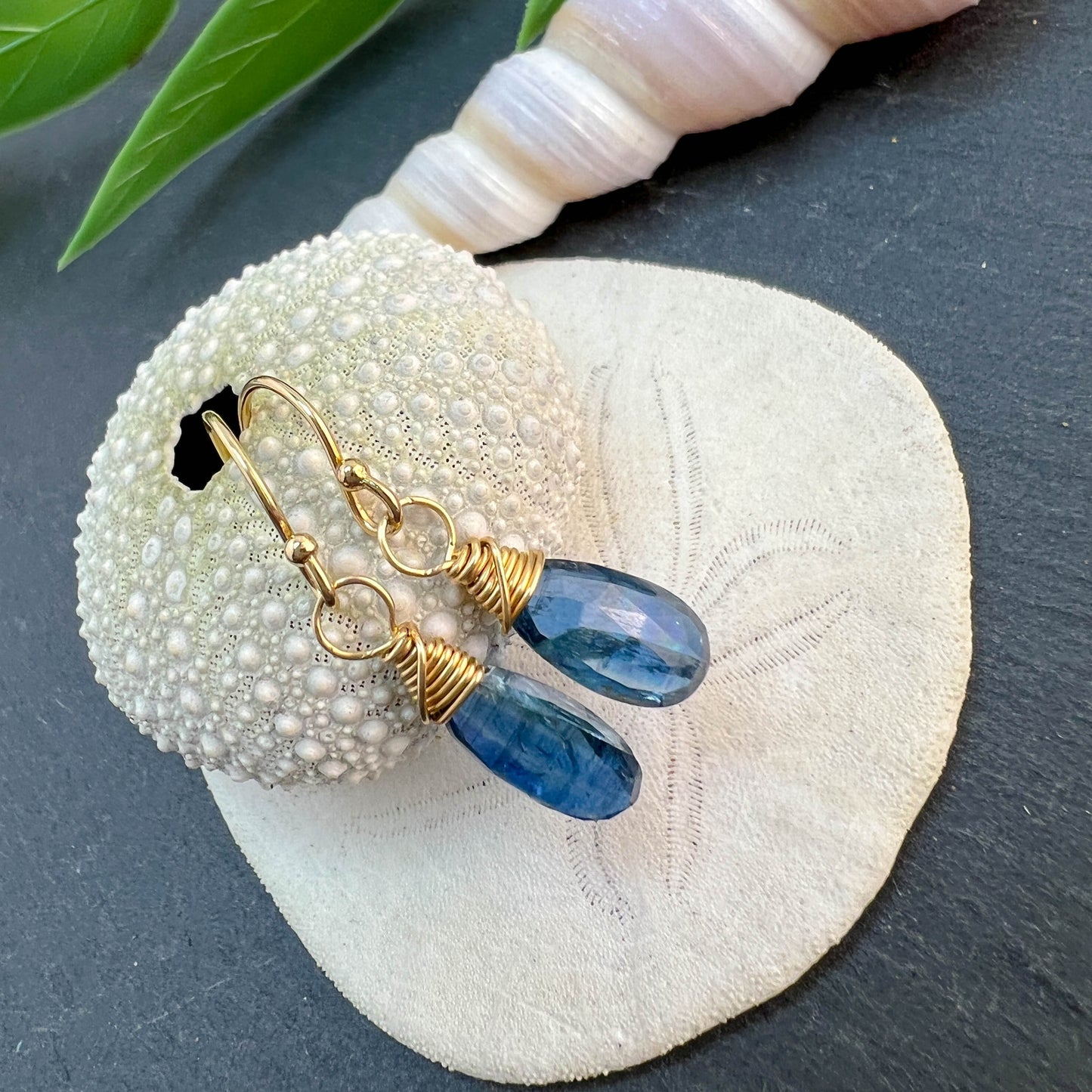 Kyanite Drop Earrings