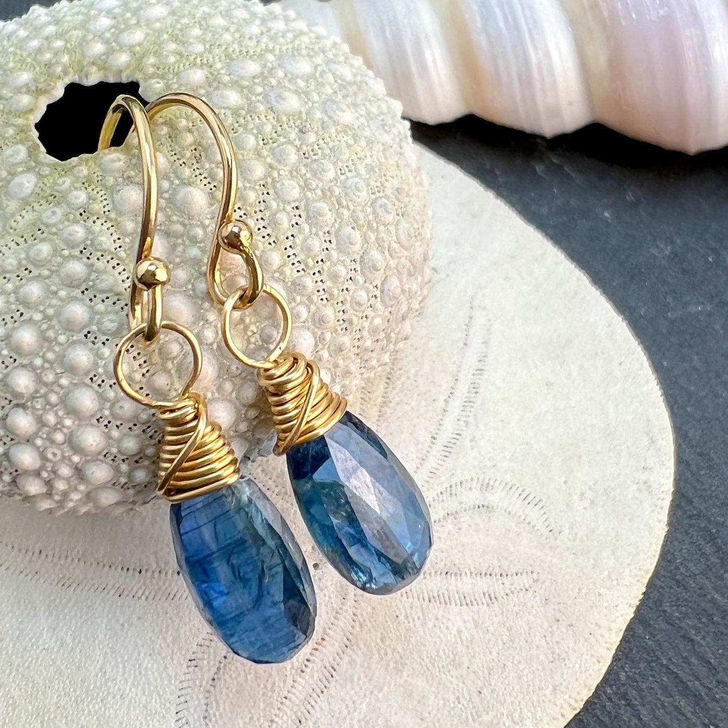 Kyanite Drop Earrings