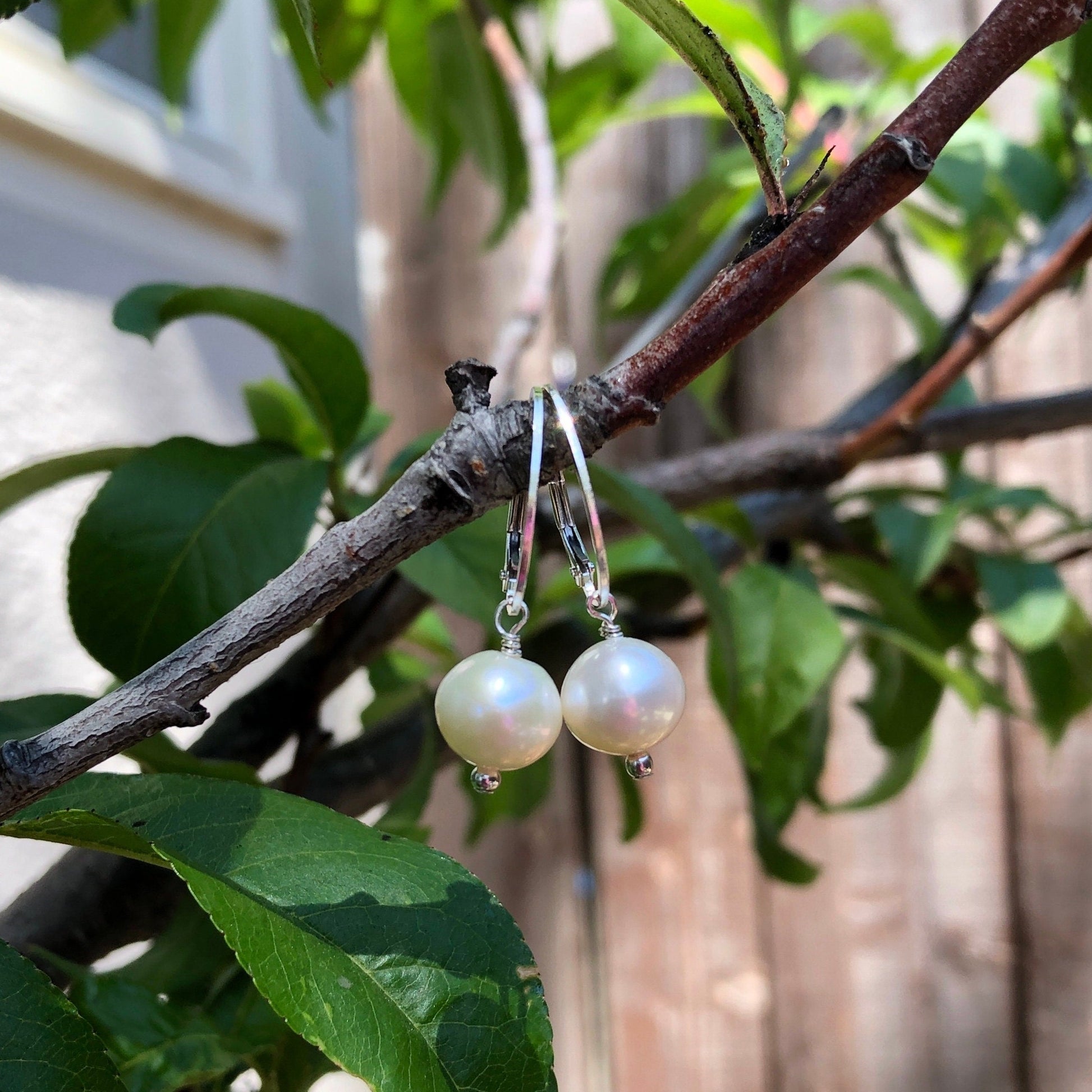 Freshwater Pearl Leverback Earrings, June Birthstone Earrings