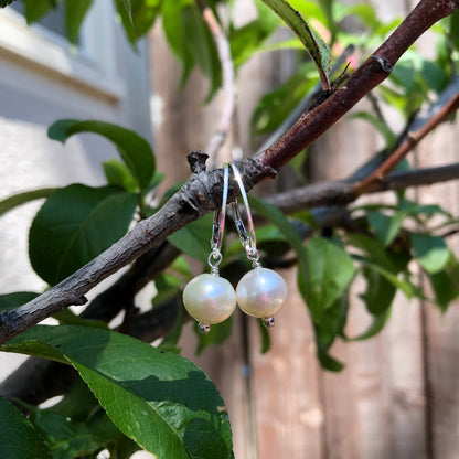 Freshwater Pearl Leverback Earrings, June Birthstone Earrings