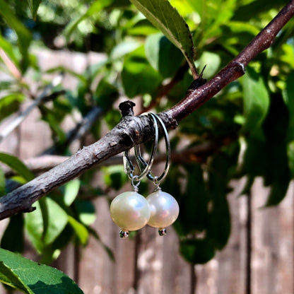 Freshwater Pearl Leverback Earrings, June Birthstone Earrings