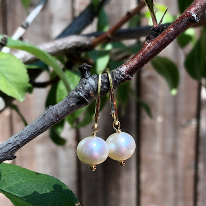 Freshwater Pearl Leverback Earrings, June Birthstone Earrings